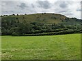 A field near Afon Brochan