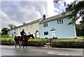 Texting on horseback