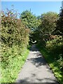 Cycle route leading to the Manifold Way, Waterhouses