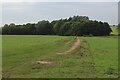 Farm Track heading away from Causeway End Road