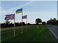 SP2792 : Flags by Nuneaton Road, Hoar Park Farm by A J Paxton