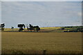 NO7373 : Farmland by A90 by N Chadwick