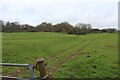 Overgrown Fort Scoveston, south east corner