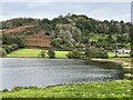 Upper Talley Lake