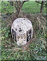 Old Milestone by the B723, North of Annan