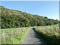 Manifold Way and woodland near Sparrowlee Bridge