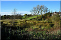 Bogland, Drumnakilly