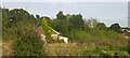 Derelict cottage next to Thurston allotments, from the railway