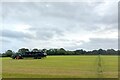 Haylage transport