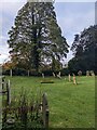 ST5899 : Trees at the edge of the churchyard, Woolaston, Gloucestershire by Jaggery