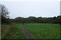 Path in St. Nicholas Fields