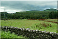 View towards Dalreoch Wood