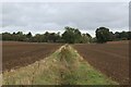 Drainage Channel near Great Easton