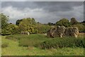 Remains of Tilty Abbey