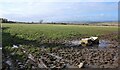 Muddy field, Gloagburn Farm