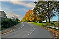 Autumn on Thames Road