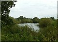 SE5258 : River Ouse passing Beningbrough Park by Alan Murray-Rust