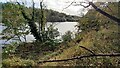 River Tyne from its southeast bank northeast of Ovingham