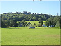 Looking across The Green to Llansteffan Castle