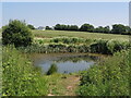 Pond near Shirenewton