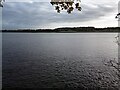 View across Clyde to Newshot Island