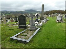 SC4991 : Kirk Maughold: churchyard (i) by Basher Eyre