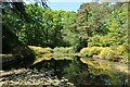 Stody Lodge Water Gardens