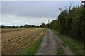 Harcamlow Way heading towards Ten Acre Wood and Butlers Farm