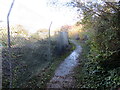 Llwybr wrth ystlys cwar / Path on the edge of a quarry