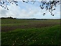 Distant view towards Lilleshal Hill and The Wrekin