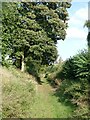 Battle Ditch on south side, Saffron Walden