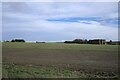 TF0329 : Farmland near Keisby by Bob Harvey