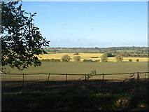 SP9020 : Farmland north of Mentmore by David Purchase