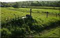ST6805 : Fields near Buckland Newton by Derek Harper