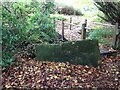SO8103 : Stone Stile, King's Stanley by Mr Red