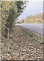 Old Milestone by the A36, Warminster Road, Wylye