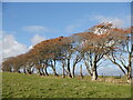 Beeches, Raithill.