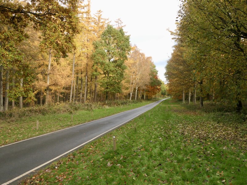 Drive, Dalkeith Park © Richard Webb :: Geograph Britain and Ireland