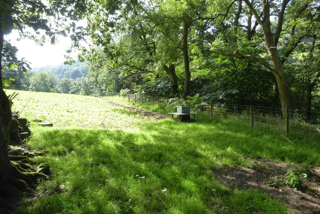 Field Above Afon Rhaeadr © Philip Halling Geograph Britain And Ireland