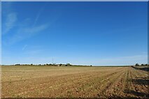 TL5054 : Farmland north of Wandlebury Country Park by Tim Heaton