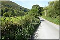 Road in Cwm Maen Gwynedd