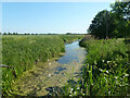 North Stream, Marshside