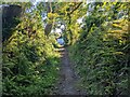 The bridleway approaching the A4115