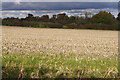 Farmland west of Quorn