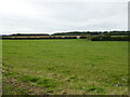 Grass field near Hellidon