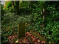 SE1116 : Gravestones in the upper burial ground, Sr Mark's, Longwood by Humphrey Bolton