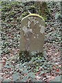 Old Boundary Marker in Ball Wood, Congresbury