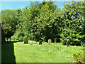 Churchyard, Wootton