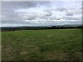 Pembrokeshire farmland