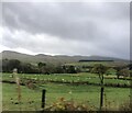 Gwynedd countryside